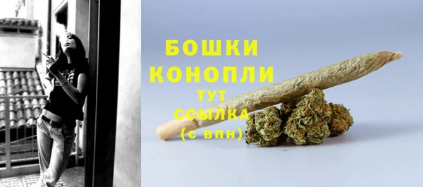 стафф Губаха